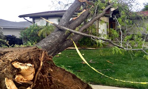 Natural disasters effect on property. A tree falls on a family home in a suburban neighborhood